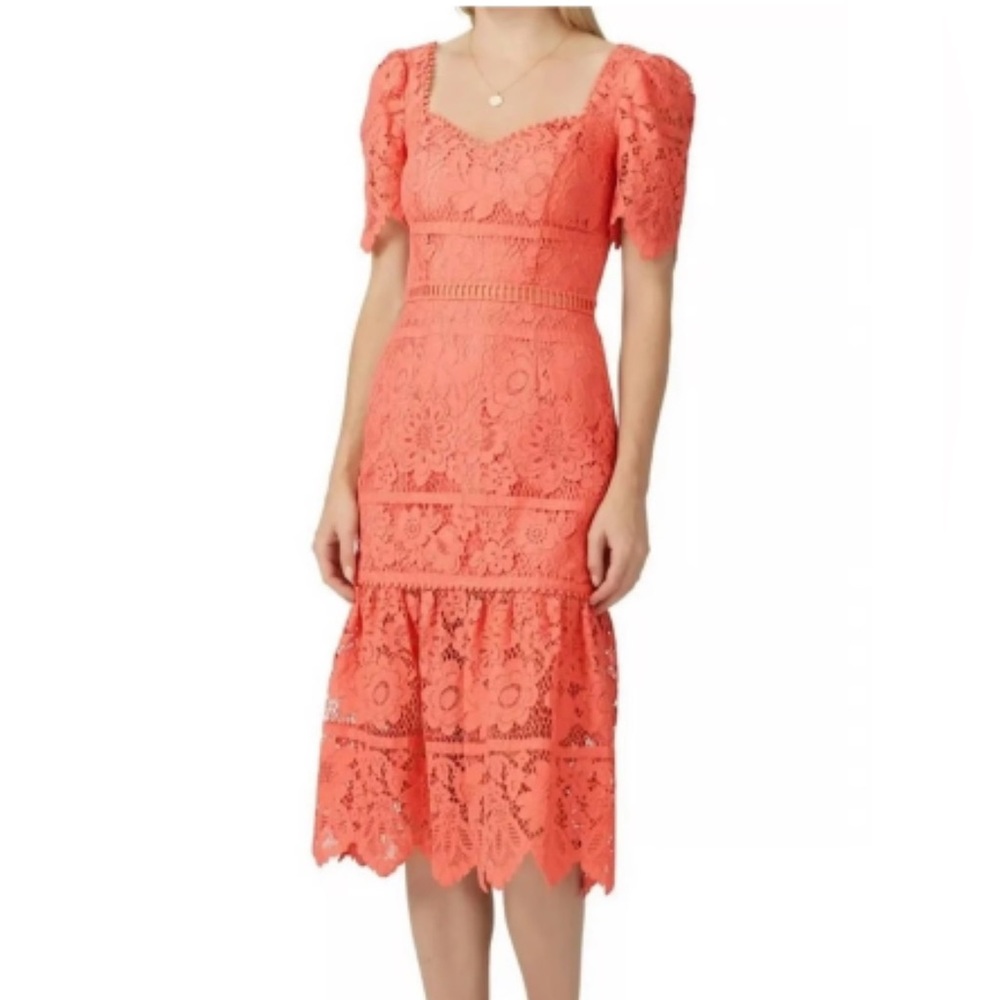 Saylor Women’s Size Medium Coral Louisa Midi Sheath Dress Lace Formal Event